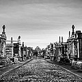The Metairie Cemetery Photograph by Tim Stanley The Metairie Cemetery Photograph by Tim Stanley