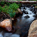The Natural Bridge Photograph by Jim Garrison The Natural Bridge Photograph by Jim Garrison