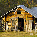 The Old Barn Photograph by Heiko Koehrer-Wagner The Old Barn Photograph by Heiko Koehrer-Wagner