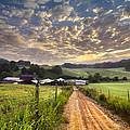 The Old Farm Lane Photograph by Debra and Dave Vanderlaan The Old Farm Lane Photograph by Debra and Dave Vanderlaan