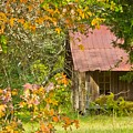The Old Homestead 3 Photograph by Michael Tidwell