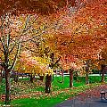 Fall Trees And The Picnic Table Painting by Kirt Tisdale Fall Trees And The Picnic Table Painting by Kirt Tisdale