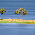 The Power of Three Photograph by Mark Rogers