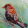 The Red Bird Painting by Jyotika Shroff The Red Bird Painting by Jyotika Shroff