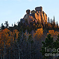 The Red Head Photograph by Jim Garrison The Red Head Photograph by Jim Garrison