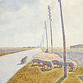 The Road To Nieuport by Willy Finch The Road To Nieuport by Willy Finch