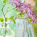 The Scent Of Lilacs Photograph by Theresa Tahara The Scent Of Lilacs Photograph by Theresa Tahara