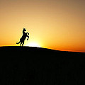 The Stallion by Tim Fillingim The Stallion by Tim Fillingim