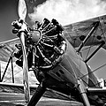 The Stearman Biplane Photograph by David Patterson The Stearman Biplane Photograph by David Patterson
