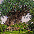 The Tree Of Life by Zina Stromberg The Tree Of Life by Zina Stromberg