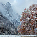 The Two Seasons Photograph by Jonathan Nguyen The Two Seasons Photograph by Jonathan Nguyen