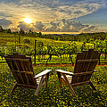 The Vineyard by Debra and Dave Vanderlaan The Vineyard by Debra and Dave Vanderlaan
