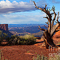The Watchman Photograph by Jim Garrison The Watchman Photograph by Jim Garrison