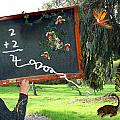 The Wrong Classroom by Lisa Yount The Wrong Classroom by Lisa Yount
