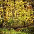 Then The Morning Comes 05 by Thomas Woolworth Then The Morning Comes 05 by Thomas Woolworth