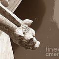 Thirsty Gargoyle - Sepia by HEVi FineArt
