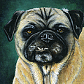 This Is My Happy Face - Pug Dog Painting by Michelle Wrighton