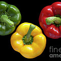 Three colors Photograph by Heiko Koehrer-Wagner Three colors Photograph by Heiko Koehrer-Wagner