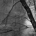 Three Mile River Photograph by David Gordon Three Mile River Photograph by David Gordon