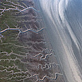 Tidal Channels At Low Tide Cook Inlet by Ingo Arndt Tidal Channels At Low Tide Cook Inlet by Ingo Arndt