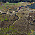 Tidal Flat Inside Passage Alaska by Hiroya Minakuchi Tidal Flat Inside Passage Alaska by Hiroya Minakuchi