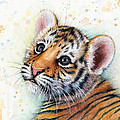Tiger Cub Watercolor Art Painting by Olga Shvartsur Tiger Cub Watercolor Art Painting by Olga Shvartsur