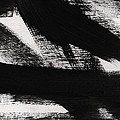 Timber 2- horizontal abstract black and white painting Painting by Linda Woods Timber 2- horizontal abstract black and white painting Painting by Linda Woods