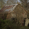 To Be Versed in Country Things by Rebecca Sherman