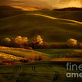 Golden fields of val d'Orcia Photograph by Jaroslaw Blaminsky Golden fields of val d'Orcia Photograph by Jaroslaw Blaminsky