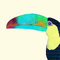 Toucan Drawing by Eric Fan Toucan Drawing by Eric Fan