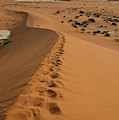 Tourists Climbing On The Red Dunes by Marc Pagani Tourists Climbing On The Red Dunes by Marc Pagani