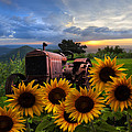Tractor Heaven Photograph by Debra and Dave Vanderlaan Tractor Heaven Photograph by Debra and Dave Vanderlaan