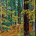 Trail At Wason Pond Pastel by Sean Connolly Trail At Wason Pond Pastel by Sean Connolly