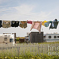 Trailers in North Rustico Photograph by Elena Elisseeva Trailers in North Rustico Photograph by Elena Elisseeva