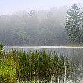 Tranquil Moments Landscape Photograph by Christina Rollo Tranquil Moments Landscape Photograph by Christina Rollo