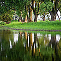 Trees Reflection on the Lake Photograph by Heiko Koehrer-Wagner Trees Reflection on the Lake Photograph by Heiko Koehrer-Wagner