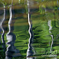 Trees reflections on the river Photograph by Heiko Koehrer-Wagner Trees reflections on the river Photograph by Heiko Koehrer-Wagner
