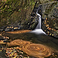 Triple Swirls by Susan Candelario Triple Swirls by Susan Candelario