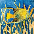 Tropical Fish Art Print by Derek Mccrea Tropical Fish Art Print by Derek Mccrea