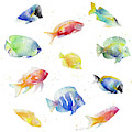 Tropical Fish Round Painting by Lanie Loreth Tropical Fish Round Painting by Lanie Loreth