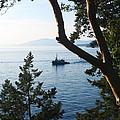 Tugboat Passes by Lorraine Devon Wilke Tugboat Passes by Lorraine Devon Wilke