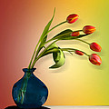 Tulips 5 by Mark Ashkenazi Tulips 5 by Mark Ashkenazi