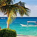 Turquoise waters in Cozumel Photograph by Mitchell R Grosky Turquoise waters in Cozumel Photograph by Mitchell R Grosky