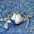 Turtle On Black Sand Beach by Laurie Morgan Turtle On Black Sand Beach by Laurie Morgan