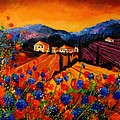 Tuscany Poppies by Pol Ledent Tuscany Poppies by Pol Ledent