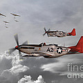 Tuskegee Airmen Digital Art by Airpower Art Tuskegee Airmen Digital Art by Airpower Art