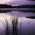 Twilight Glow by Mike Dawson Twilight Glow by Mike Dawson