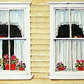 Twin Peeks by Mary Ellen Mueller Legault Twin Peeks by Mary Ellen Mueller Legault