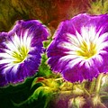 Two eyes of Heaven Digital Art by Lilia D Two eyes of Heaven Digital Art by Lilia D