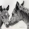 Two Foals Drawing by Hailey E Herrera Two Foals Drawing by Hailey E Herrera